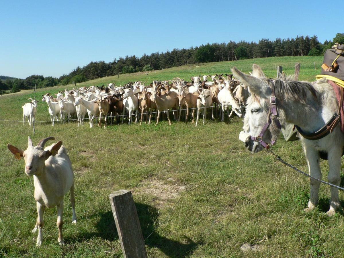 Les Soleillas Pour Votre Zen'Ittude Chalencon Zewnętrze zdjęcie